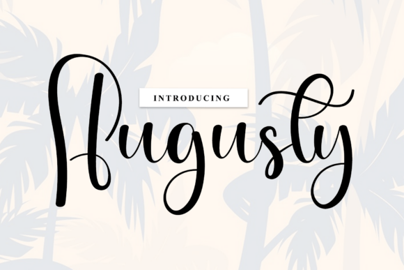 Augusty: Crafting Visual Rhythm and Artisanal Charm